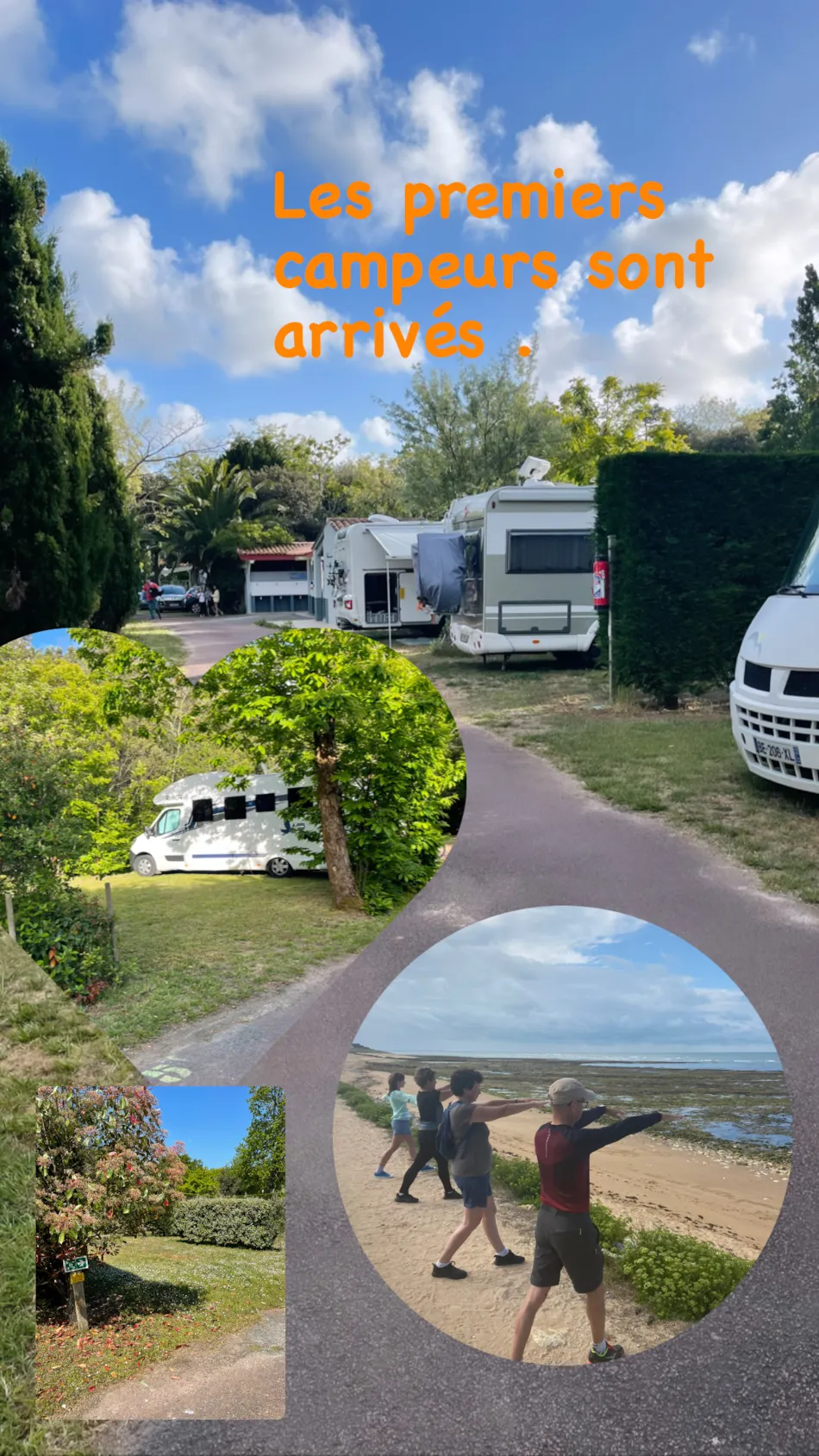 Camping le Sous Bois - Emplacements