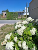 Foto #9 van Camping Le Clos des Genêts