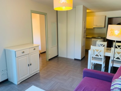 Superior 1-Bedroom Apartment — 1