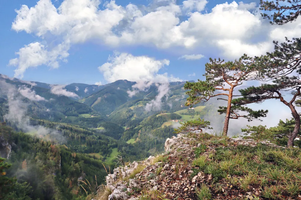 Isbary Bioland Naturresort - image n°1 - Camping2Be