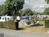 Foto #4 van Camping Le Petit Bois