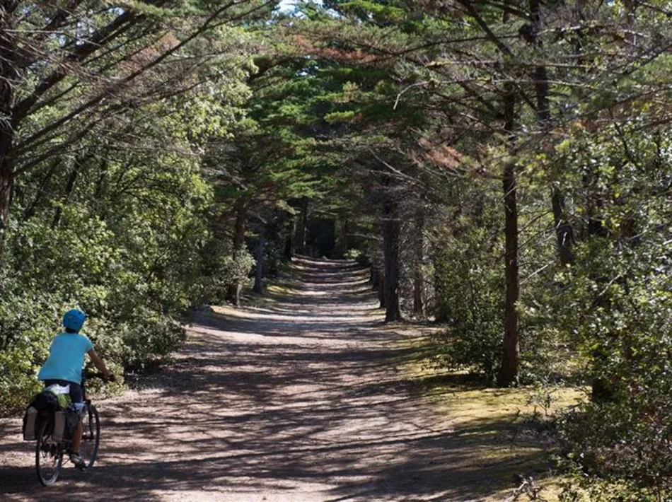 Camping Le Petit Bois