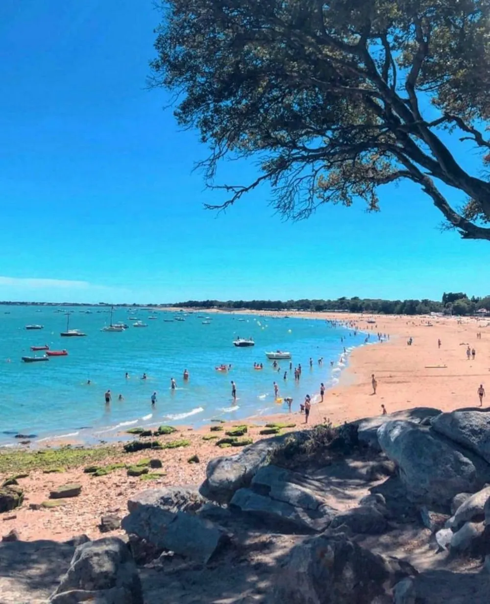 Camping Le Petit Bois - image n°32 - UniversalBooking