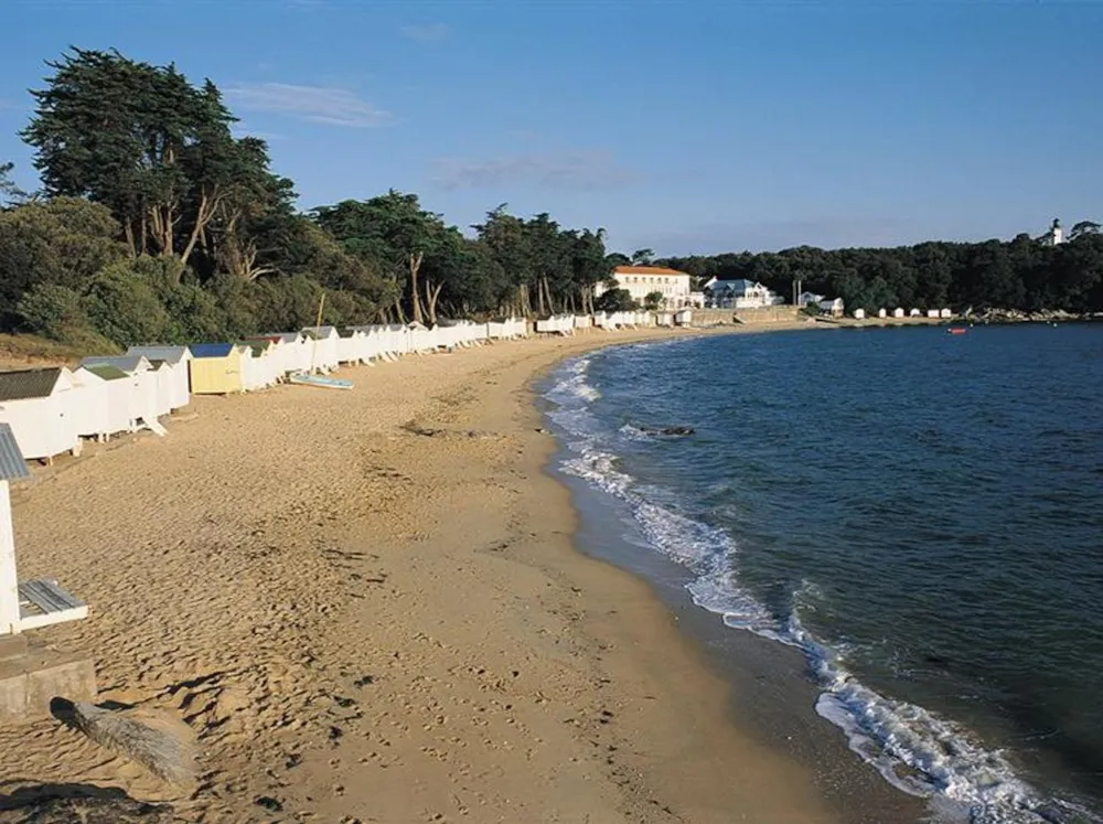 Camping Le Petit Bois - image n°33 - UniversalBooking