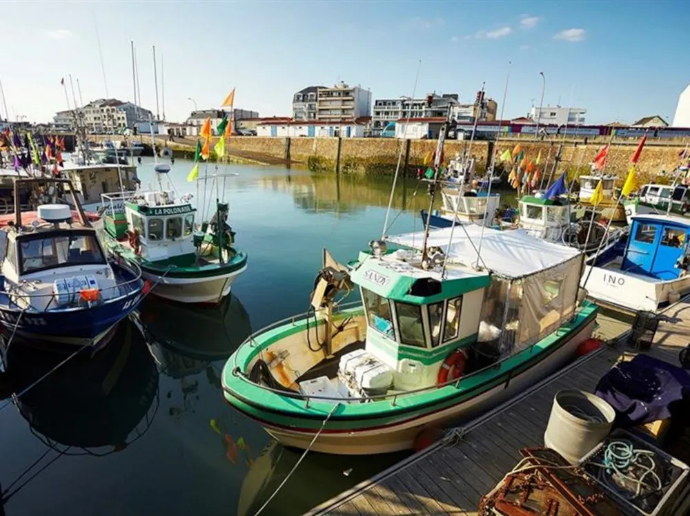 Camping Le Petit Bois - image n°31 - UniversalBooking