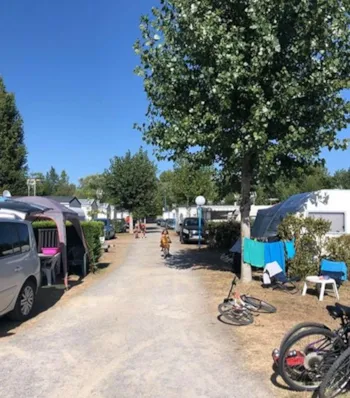 Stellplatz - Stellplatz + Fahrzeug - Camping Le Petit Bois