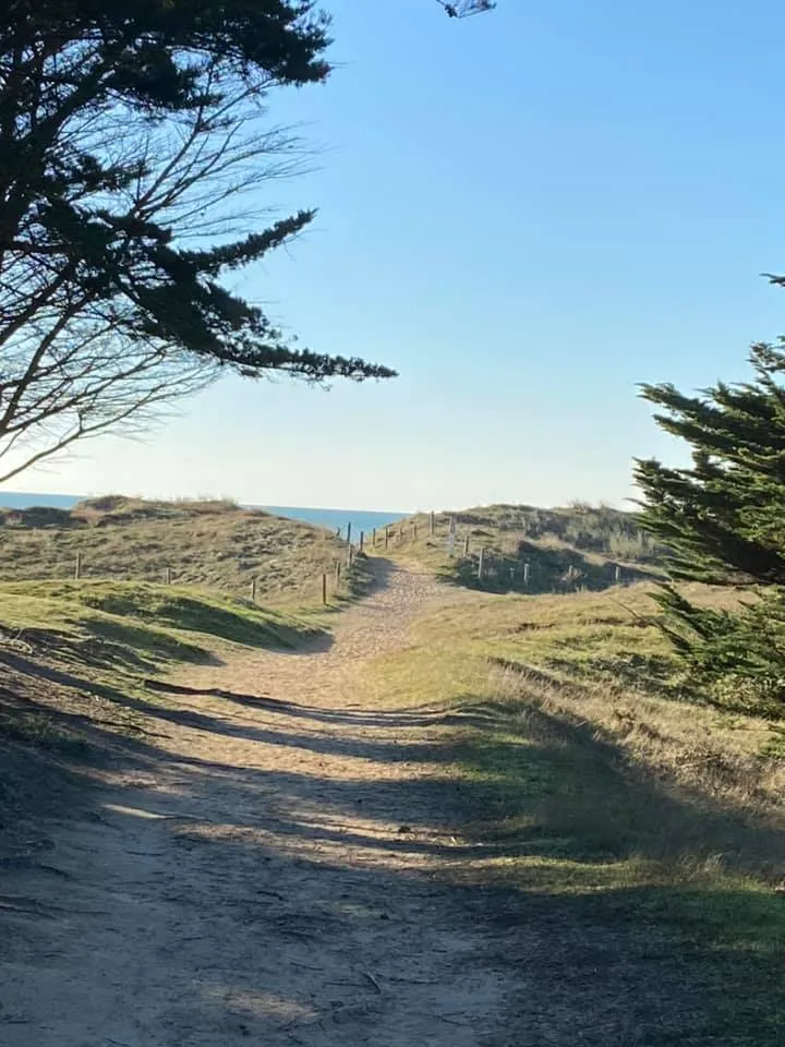 Camping Le Petit Bois