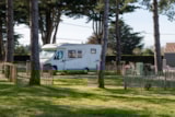 Foto #9 van Camping Mirabel La Renaudière