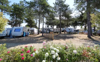 Stellplatz - Nackte Stellplätze Grand Confort - Camping Mirabel La Renaudière