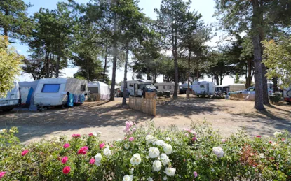 Piazzole Nude Grand Confort