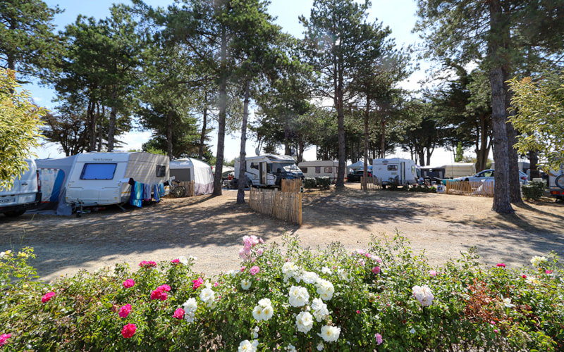 Kale staanplaatsen Grand Confort