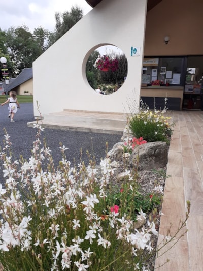 Pitch
