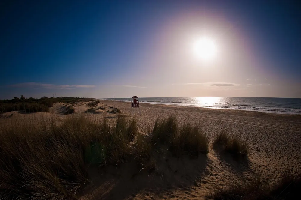 Camper Park Playas de Luz