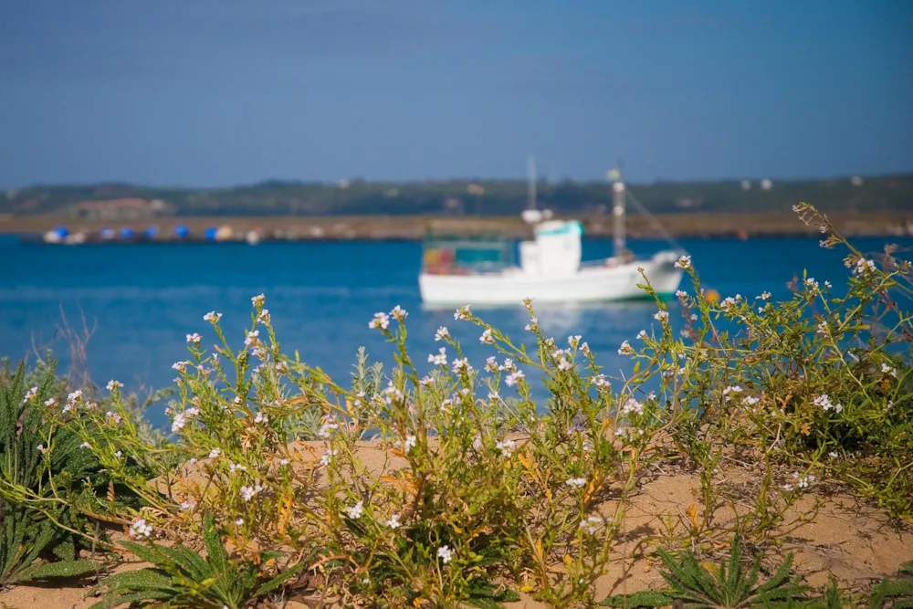 Camper Park Playas de Luz