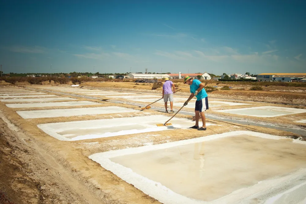 Camper Park Playas de Luz