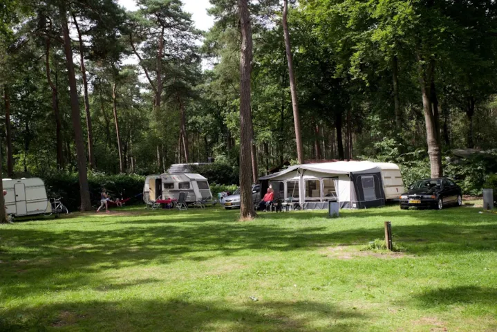 Vakantiepark Bonte Vlucht - image n°1 - Camping Direct