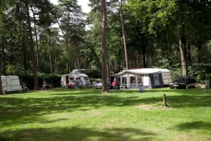 Vakantiepark Bonte Vlucht - Camping2Be