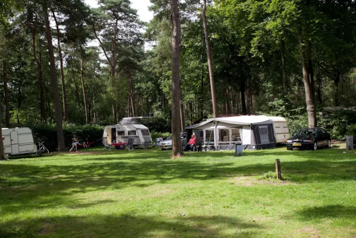 Vakantiepark Bonte Vlucht - image n°1 - Camping Direct