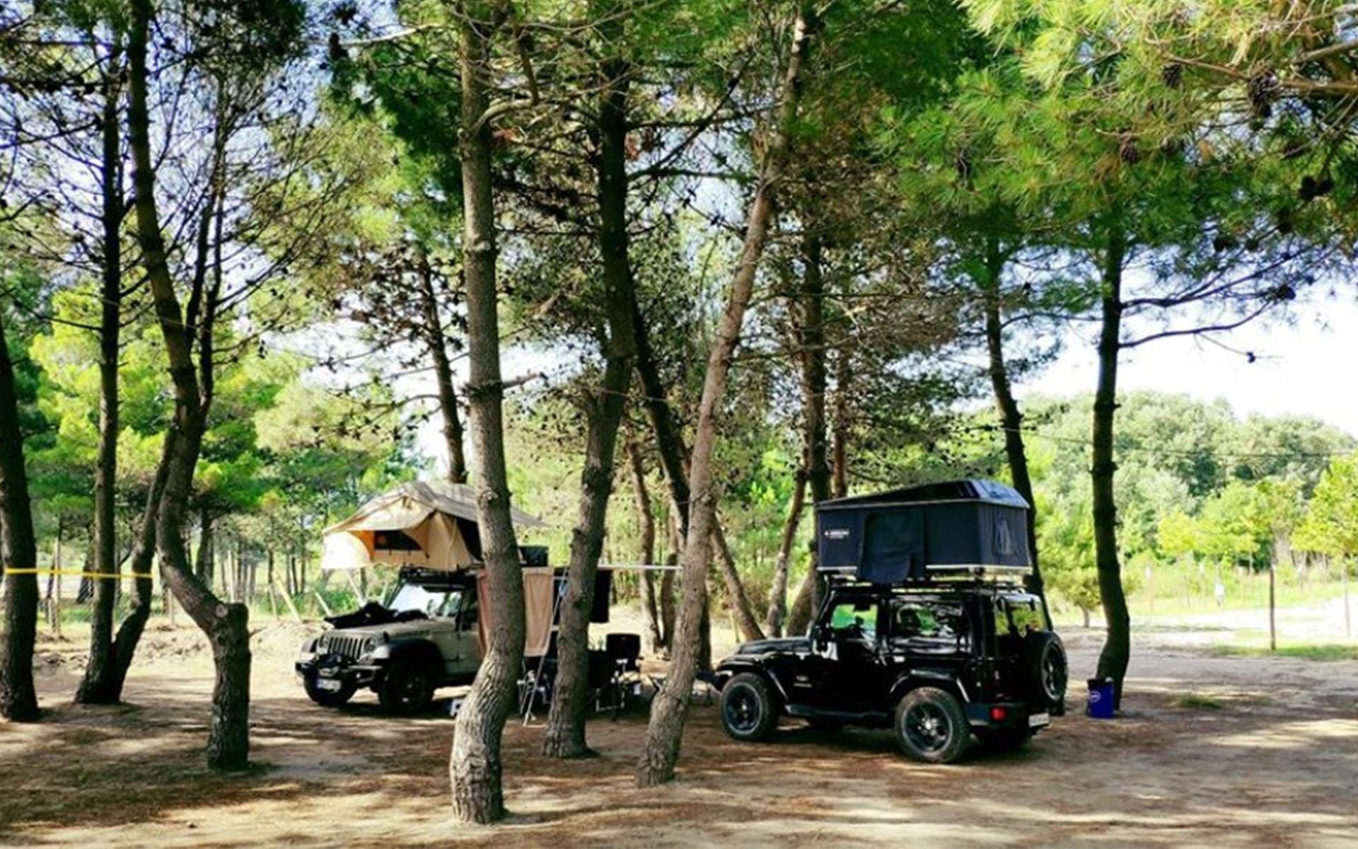 MCM Beach & Camping — Foto 6