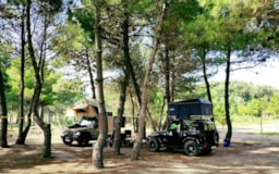 MCM Camping & Resort - image n°6 - UniversalBooking