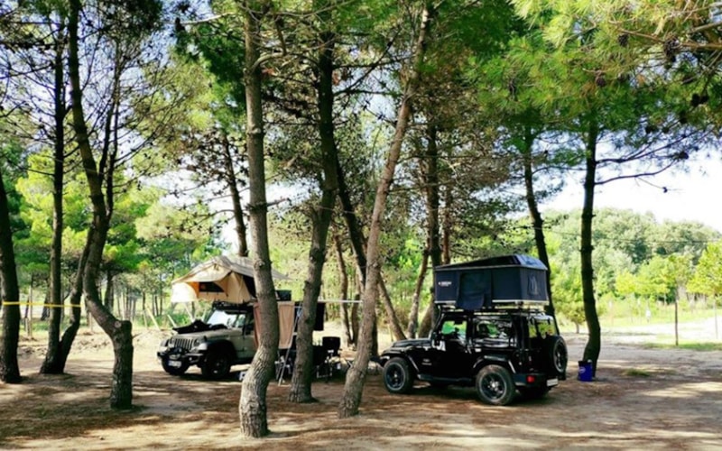 Liegt der MCM Camping & Resort am Meer? photo 4