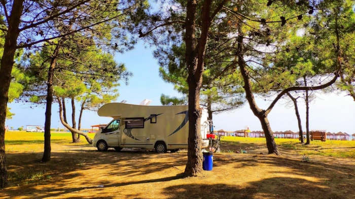 Emplacement Rvpark Ombragé