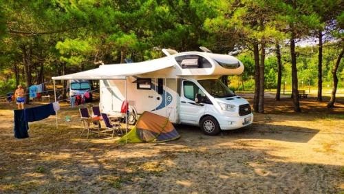 Emplacement Rvpark Ensoleillé