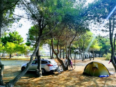 Pitch for a large tent