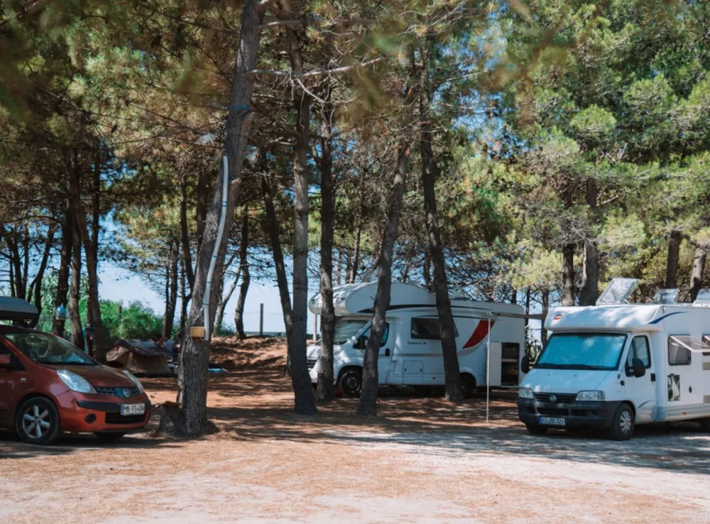 Stellplatz - Stellplatz Rvpark Schattiert - MCM Camping & Resort