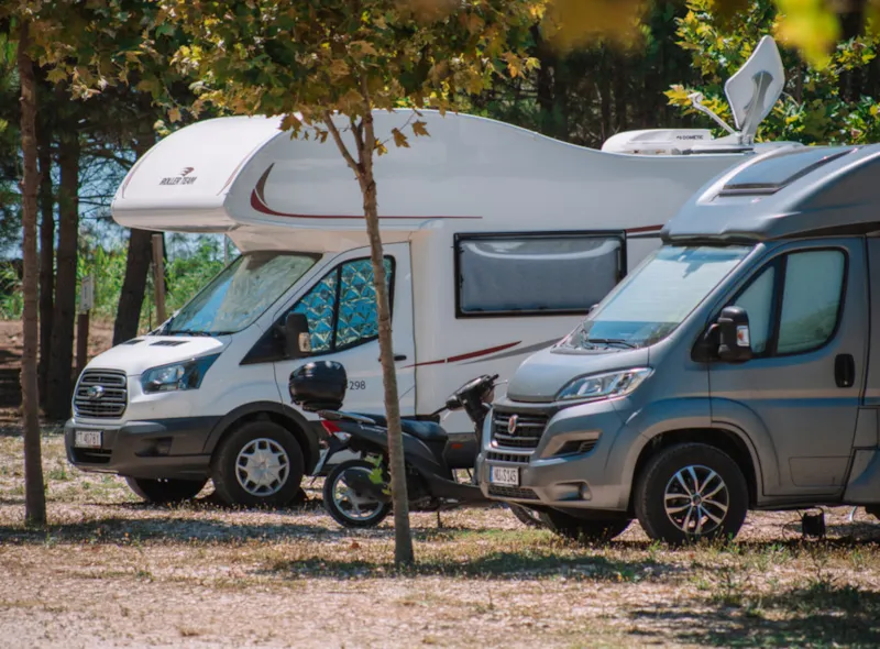 Emplacement Rvpark Ensoleillé