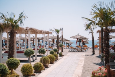 MCM Beach & Camping