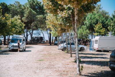 MCM Beach & Camping