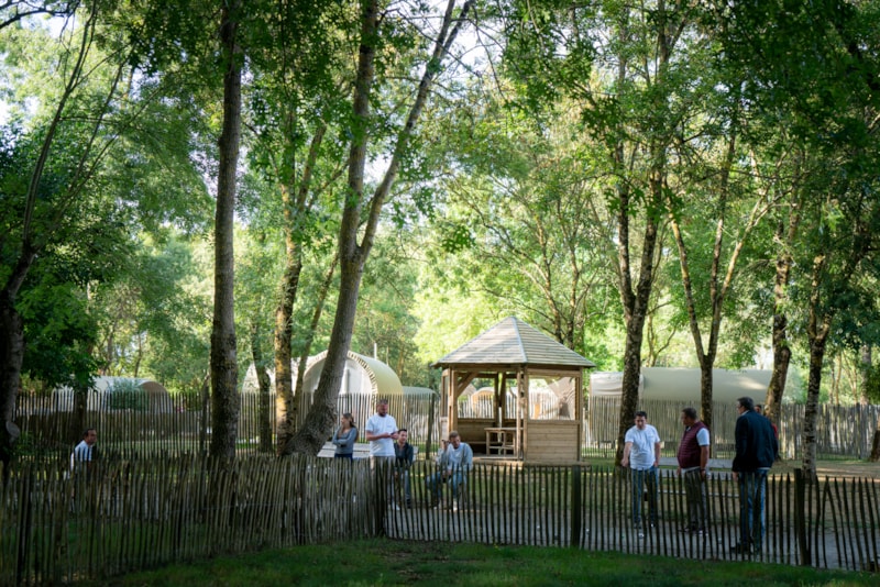 Pakket Wandelaar - Geen voertuig - zonder elektriciteit