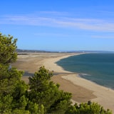 Foto #15 van Flower Camping InNature