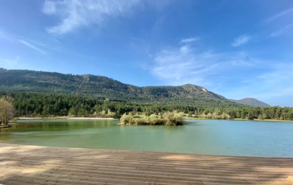 Flower Camping InNature