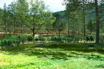 Stellplatz - Stellplatz Confort - 10A Strom + Wasser + 120M² - Flower Camping InNature