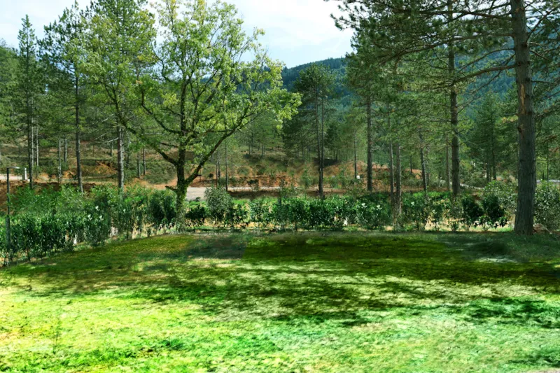 Emplacement Confort - Branchement Électrique 10A + Eau + 120M²