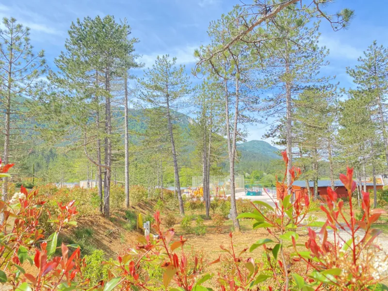 Emplacement Confort - Branchement Électrique 10A + Eau + 120M²