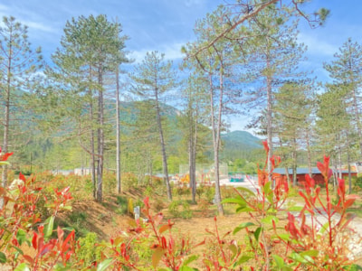 Pitch Premium with private facilities
