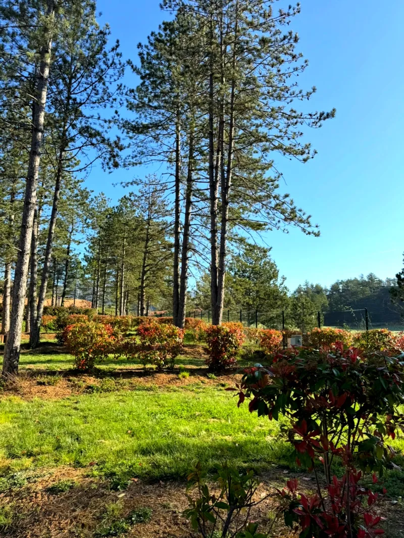 Emplacement Confort - Branchement Électrique 10A + Eau + 120M²