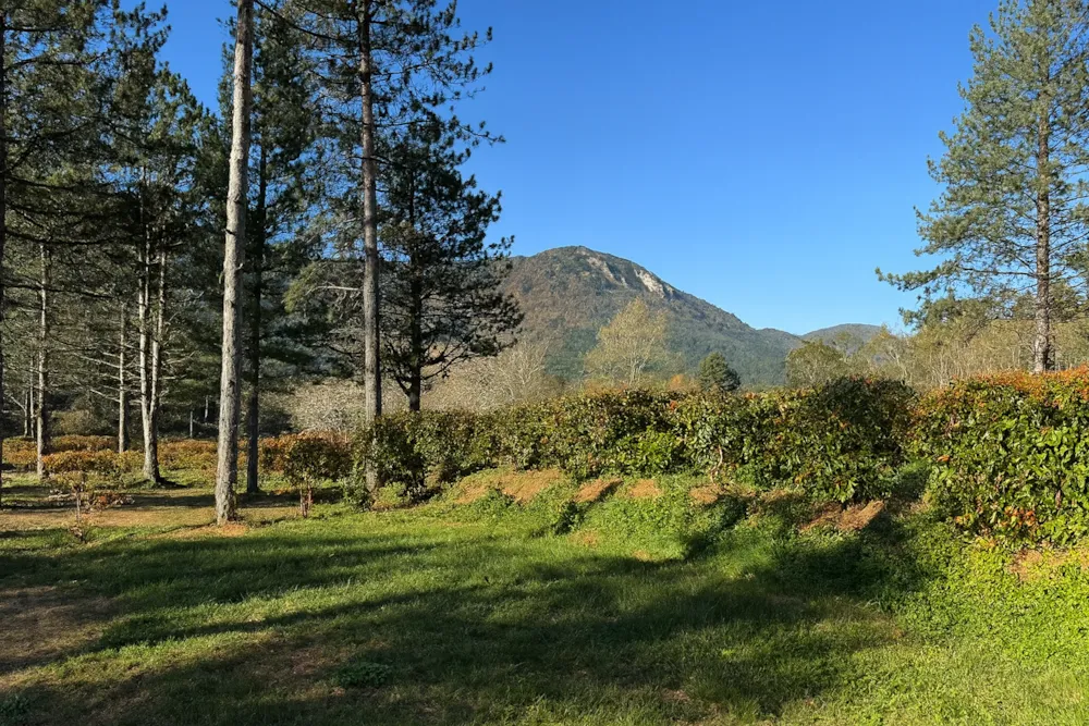 Emplacement - Emplacement Confort - Branchement Électrique 10A + Eau + 120M² - Flower Camping InNature