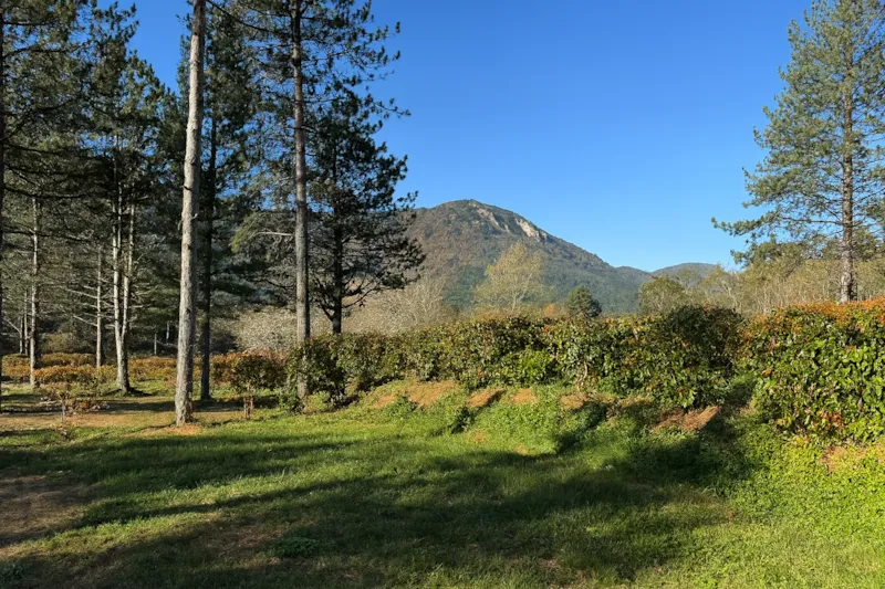 Emplacement Confort - Branchement Électrique 10A + Eau + 120M²