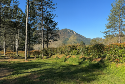 Confort Pitch - 10A electricity + water + 120m²