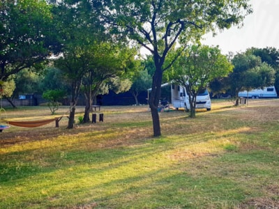 Pitch + small tent