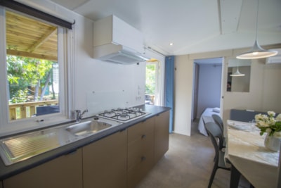 Superior Mobile Home (central area - bathroom italian style) — 4