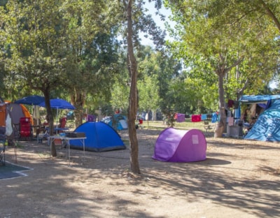 Pitch small tent — 1