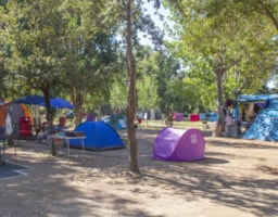 Plads(er) - Standplads Lille Telt - Campeggio Villaggio Sos Flores
