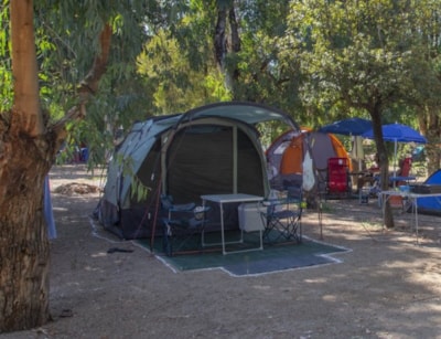 Medium tent pitch — 1