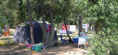 Pitch big tent — 1