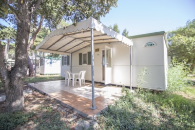 Standard Mobile Home — 1